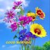Cool (@cool63629995) Twitter profile photo Cool (@cool63629995) Twitter profile photo