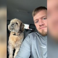 Declan (@declan82908663) 's Twitter Profile