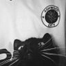joffflock's profile picture. 21