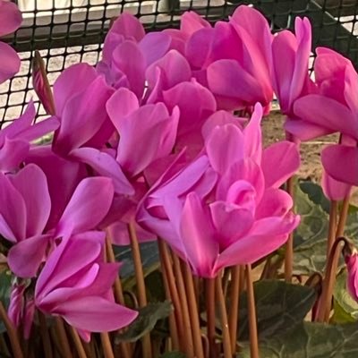 Anna Bさんのプロフィール画像