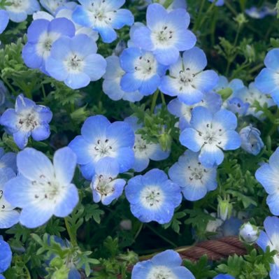 vuj3_z's profile picture. 