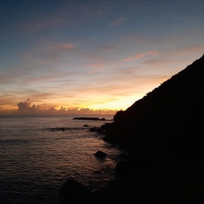 chen735668313's profile picture. 