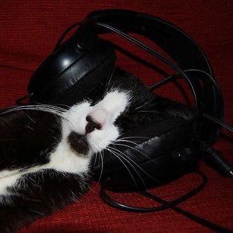 sludgefacto's profile picture. #studytwt | med