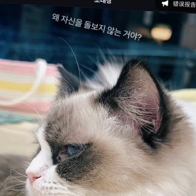 Yangxu992's profile picture. 