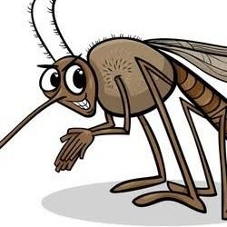 Machharrr's profile picture. khatarnak nahi huu