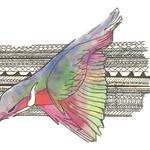 Rena🐭@オーストラリアに移住したいฅ(^ω^ฅ) (@sohaibsajid12) 's Twitter Profile