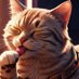 Brown tiger cat music-茶トラ猫の音楽 (@b_tigercatmusic) Twitter profile photo Brown tiger cat music-茶トラ猫の音楽 (@b_tigercatmusic) Twitter profile photo