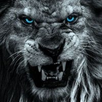☯︎ (@esh3nkurux) 's Twitter Profile Photo ☯︎ (@esh3nkurux) 's Twitter Profile Photo