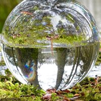 Sheena Wight (@sheena_ot) 's Twitter Profile Photo Sheena Wight (@sheena_ot) 's Twitter Profile Photo