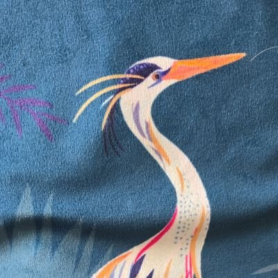 Lizzylovesbirds's profile picture. 