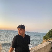 Deniz Arslanyılmaz (@lmaz_deniz6819) Twitter profile photo