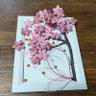 yuka1976's profile picture. 趣味は、🏵️つまみ細工🌸ハンドメイドピアス🌸
３人の子育て、中学生👧小学生👦、幼稚園👧。＊基本、敬語ぽいです✨
食べるの&沖縄🍍大好き💓
無言OK♥️

#ゆいっしんあお当選報告　みてね～♥