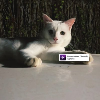 fslx__'s profile picture. for sure someone u don’t know