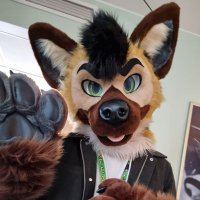 Tjommi (@tjommiyeen) 's Twitter Profile
