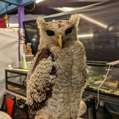 dhnnnnV's profile picture. 