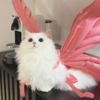 每天大赛 (@osssamamost) 's Twitter Profile