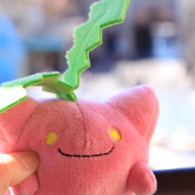 障子のめありーさんのプロフィール画像