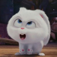 MM (@mmuang_mm) 's Twitter Profile