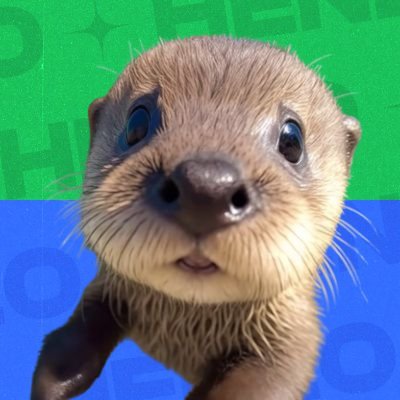 DootIstvan's profile picture. Not da CEO of Henlo
