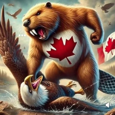 BeshearAlAssad's profile picture. Slava Ukraini🇺🇦 He/Him