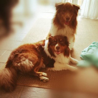 LucySchots's profile picture. 