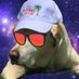 scott (@napenforcer) Twitter profile photo scott (@napenforcer) Twitter profile photo
