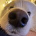 Effi (@ilyeffi) Twitter profile photo Effi (@ilyeffi) Twitter profile photo