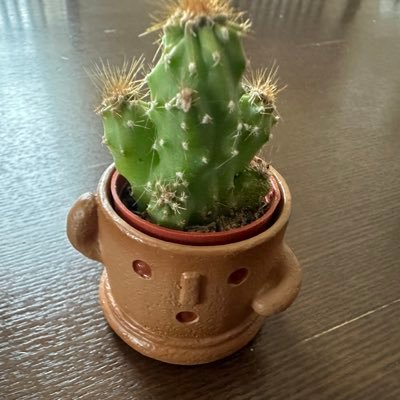 🌵さんのプロフィール画像