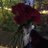 Meaad9_'s profile image