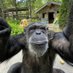 0000 (@heh_monkey) Twitter profile photo 0000 (@heh_monkey) Twitter profile photo