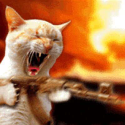 cruugoe's profile picture. https://t.co/4Cttz7BKba
https://t.co/qUQ2Iwyrtb