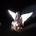 bada$$$$$$ (@lajuicybabyy) Twitter profile photo bada$$$$$$ (@lajuicybabyy) Twitter profile photo