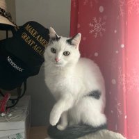 Debbie (@debbie012017670) 's Twitter Profile Photo Debbie (@debbie012017670) 's Twitter Profile Photo