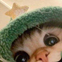 yousra (@saadounebob) 's Twitter Profile
