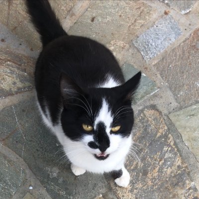 pakis83037's profile picture. Σπούδασα Θεσσαλονίκη, δεκαετία 80. Κατοικώ στον Πειραιά. Είμαι γιατρός.