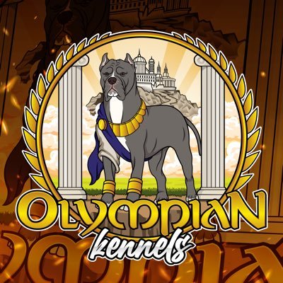 Olympian Kennels: Dedicated to breeding exceptional North American Mastiffs. Health, temperament, & quality are our priorities. #Mastiff #NAMastiff