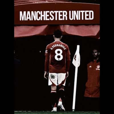 MoMahdi081's profile picture. 