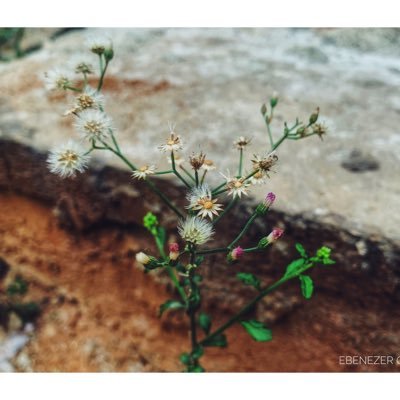 ebenebadboss_25's profile picture. Professional photography 📸 Capturing life one frame at a time Street stories told through my lens DM for collaborations & creative projects📸🔱