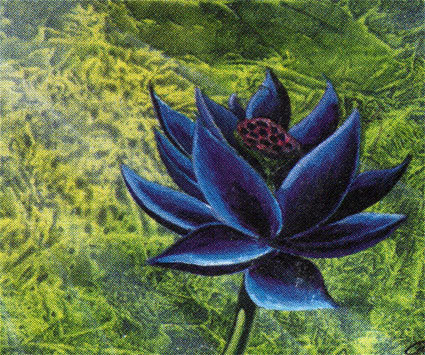 magic_cards's profile picture. A friendly place to tweet and trade Magic Cards on YOUR terms.