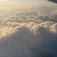 🪼 (@lxano__) Twitter profile photo