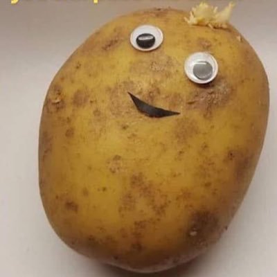 xflowerwishx's profile picture. 