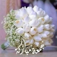 عهد الزهراني (@awrggffgg86059) 's Twitter Profile