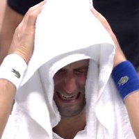 Stefano (@trolledbynovak) 's Twitter Profile Photo Stefano (@trolledbynovak) 's Twitter Profile Photo