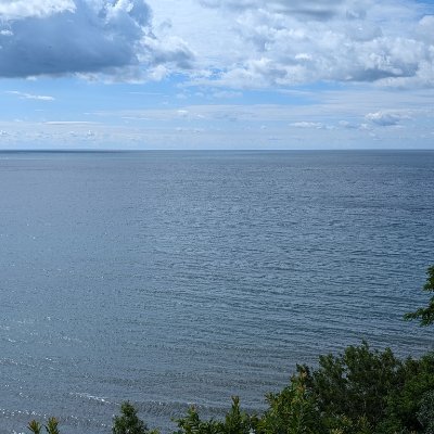 aboofozzle187's profile picture. 