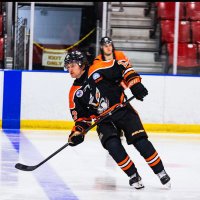 Andrew Gibbons (@gibbonsandrew12) 's Twitter Profile Photo Andrew Gibbons (@gibbonsandrew12) 's Twitter Profile Photo