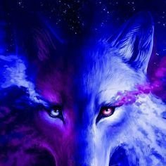 _LouveLa_'s profile picture. 