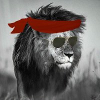 . (@bobjrgadu) 's Twitter Profile