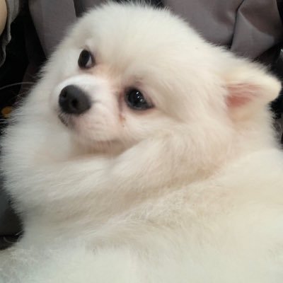 Lexrxs's profile picture. 