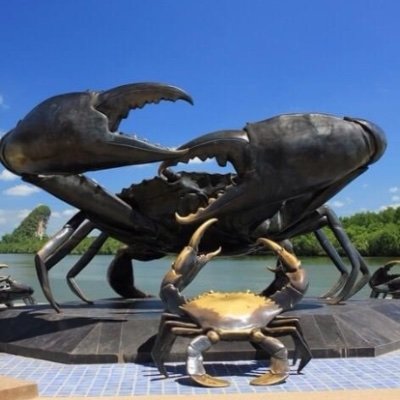 actic1989's profile picture. 