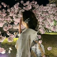 Akaneâ¡(ãããâ¥æ¶ããäžå
·åäžð) (@akanetanman) 's Twitter Profile Photo Akaneâ¡(ãããâ¥æ¶ããäžå
·åäžð) (@akanetanman) 's Twitter Profile Photo
